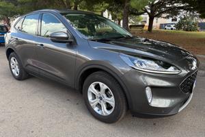 Ford Kuga 1.5 EcoBlue 120 CV aut. 2WD Titanium Bus