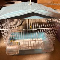 Piccola voliera gabbietta per uccellini