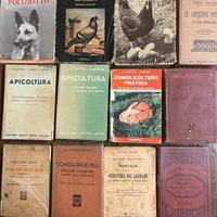 HOEPLI manuali