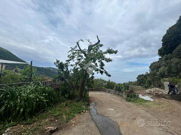 2 LOCALI A SORRENTO