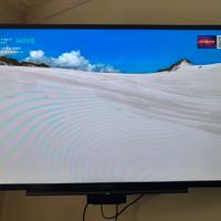 Smart TV Sony 40' (leggi descrizione)