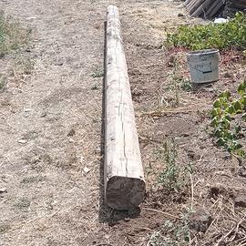 Trave in legno