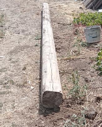 Trave in legno