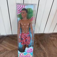 Barbie Water Play Steven AA CFF17 2014