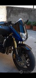 Cupolino Honda Hornet 2008