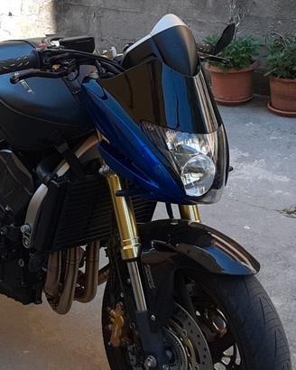 Cupolino Honda Hornet 2008