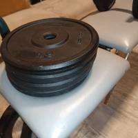 dischi da palestra 