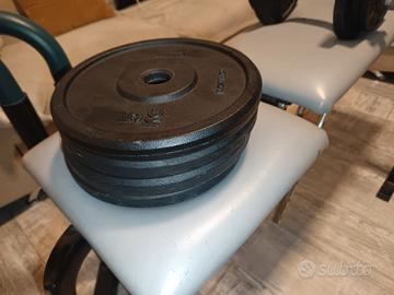 dischi da palestra 