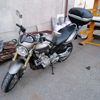 Hornet 600 2006