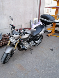 Hornet 600 2006