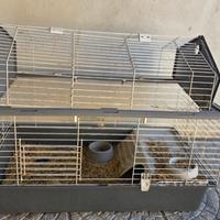 Gabbia per piccoli animali, conigli e similari