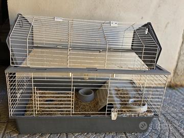 Gabbia per piccoli animali, conigli e similari