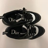Dior b22