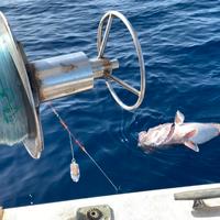 Salpabolentino pesca di profondità