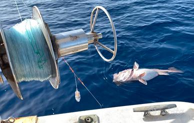 Salpabolentino pesca di profondità