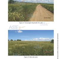 Terreno Agricolo Samassi [A4343670]