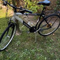 Bici da strada o trekking
