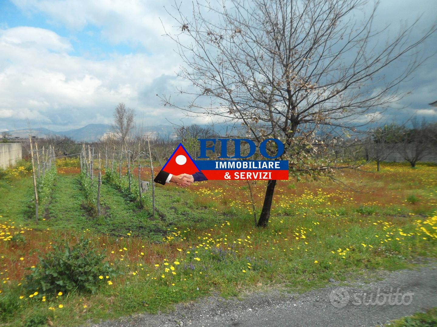 Terreno agricolo di 700mq - Vista 4