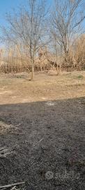 Terreno Mondragone "DOMIZIANA"