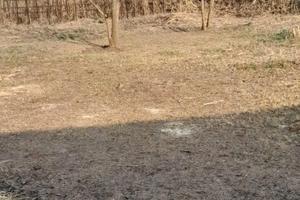 Terreno Mondragone "DOMIZIANA"