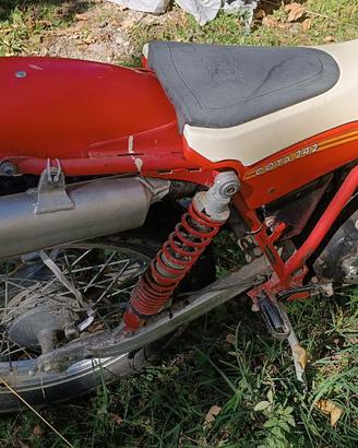 montesa 242 cota