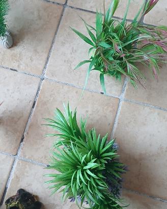 acquari piante in plastica