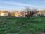 Immagine 14