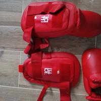 parastinchi e conchiglia protettiva 