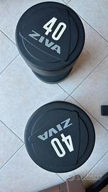 Coppie Manubri Ziva NUOVI 40 kg e 30 kg