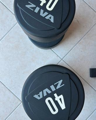 Coppie Manubri Ziva NUOVI 40 kg e 30 kg