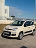 fiat-panda-metano-con-un-1-anno-di-garanzia-0-9