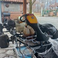 Kart CRG Road Rebel 2014 100cc Iame Parilla usato