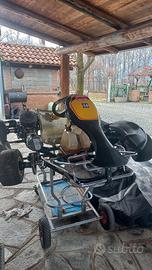 Kart CRG Road Rebel 2014 100cc Iame Parilla usato