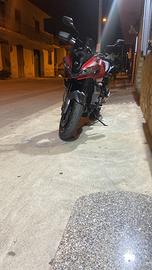 Tiger sport 660