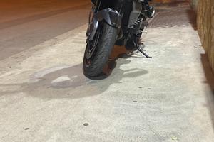 Tiger sport 660