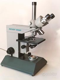 microscopio triloculare reichert 