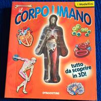 Il corpo umano 3D