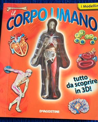 Il corpo umano 3D