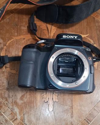 Sony Alpha 100+Sony 18-70 mm 3,5/5,6