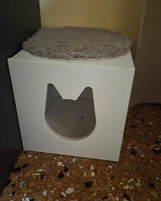 cuccia per gatto