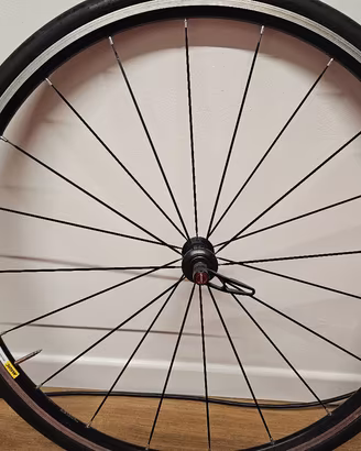 ruota anteriore Mavic Aksium