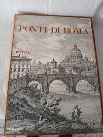i ponti di Roma 