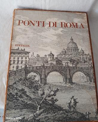 i ponti di Roma 