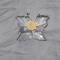 Farfalla di cristallo