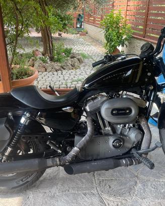 Harley davidson nightster sportster XL