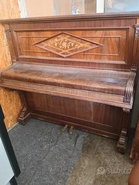 pianoforte radica