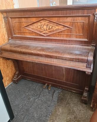 pianoforte radica
