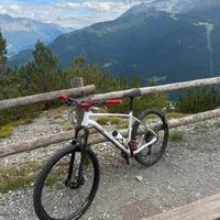 MTB AM100 Taglia XL