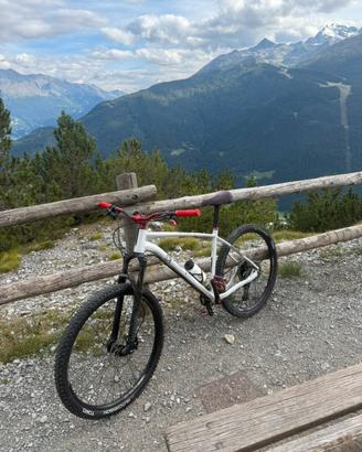 MTB AM100 Taglia XL