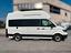 Immagine 6